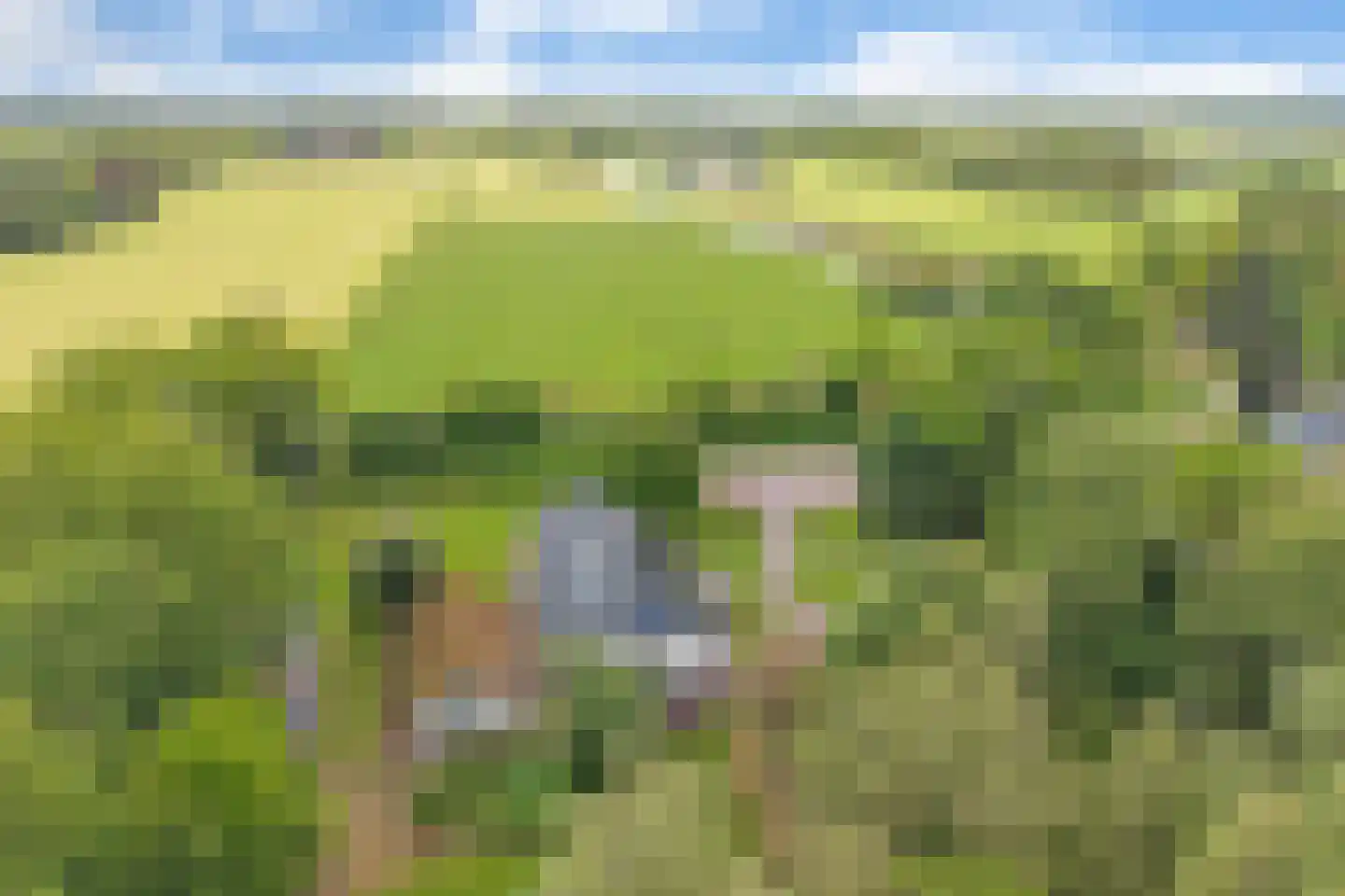 Schrapveen 14 Linde thumbnail 53