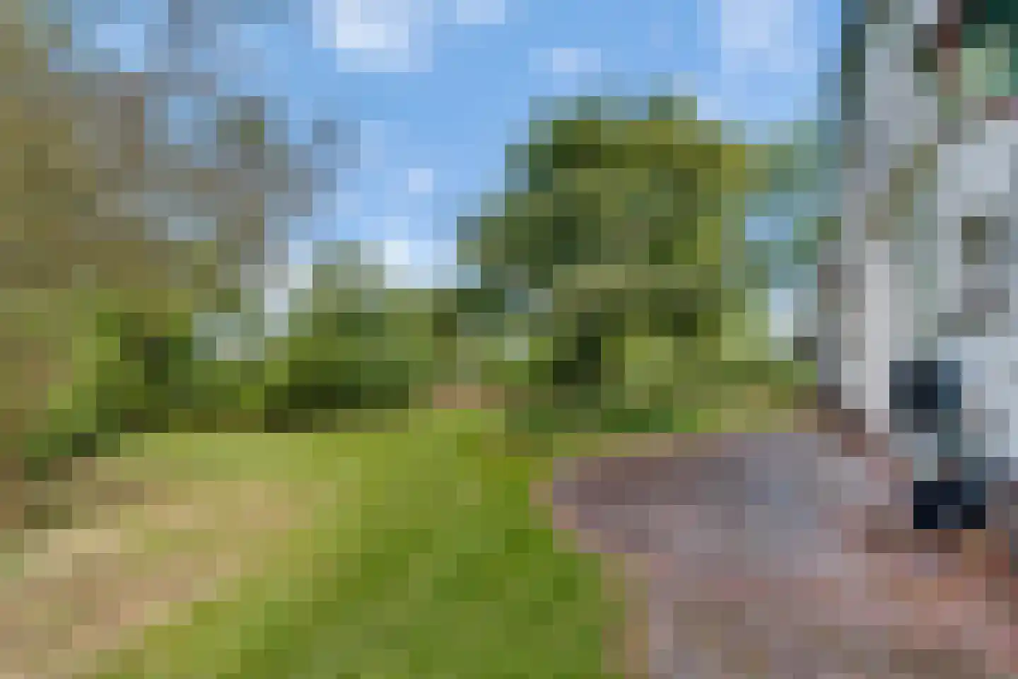 Schrapveen 14 Linde thumbnail 55