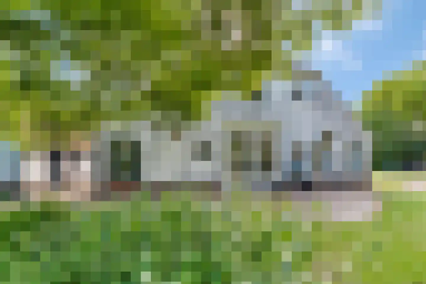 Schrapveen 14 Linde thumbnail 56
