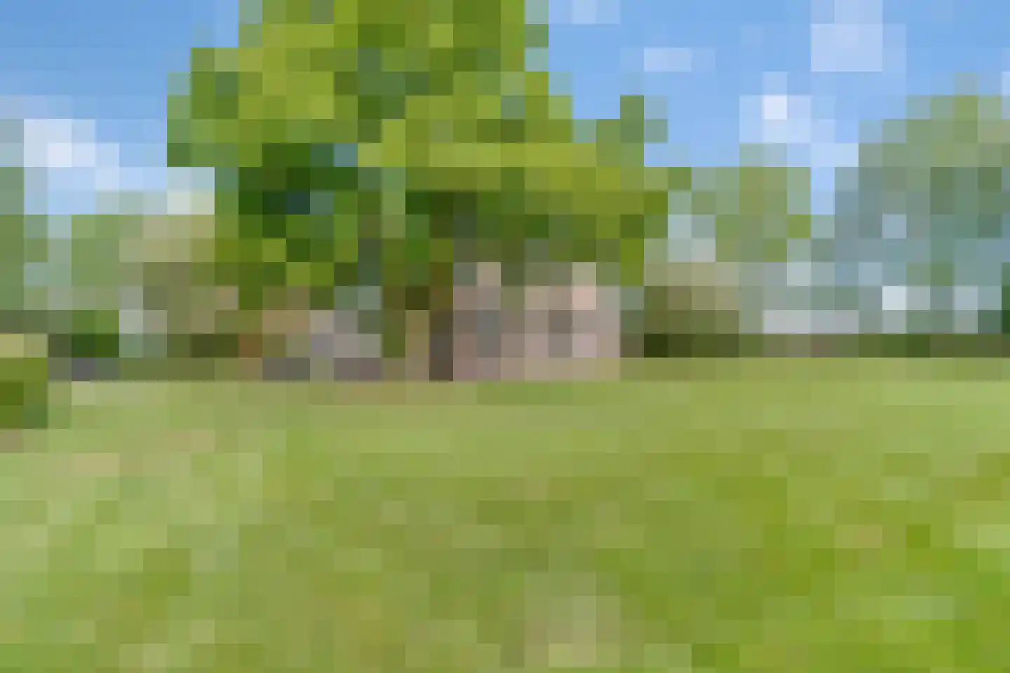 Schrapveen 14 Linde thumbnail 57
