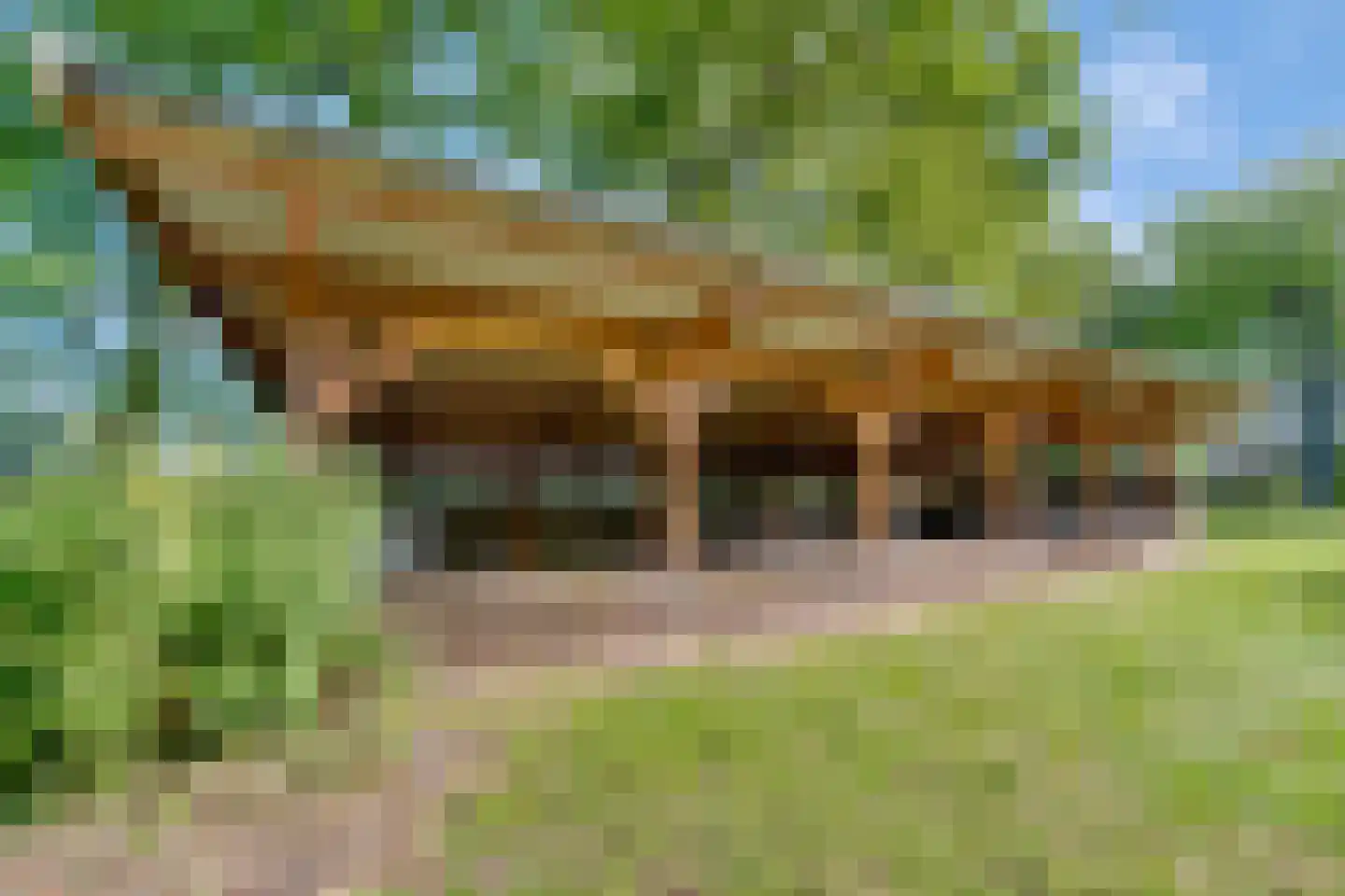 Schrapveen 14 Linde thumbnail 58