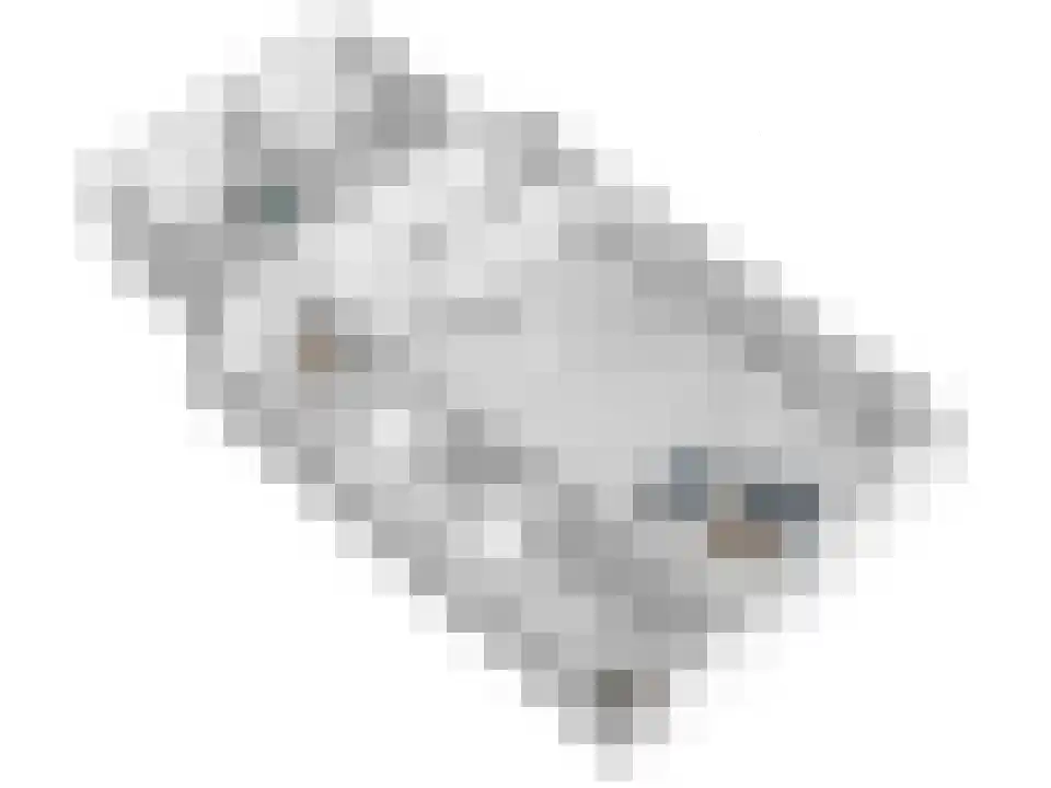 Schrapveen 14 Linde thumbnail 61