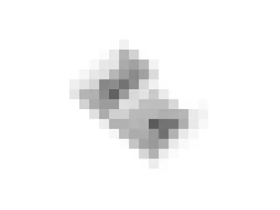 Schrapveen 14 Linde thumbnail 65