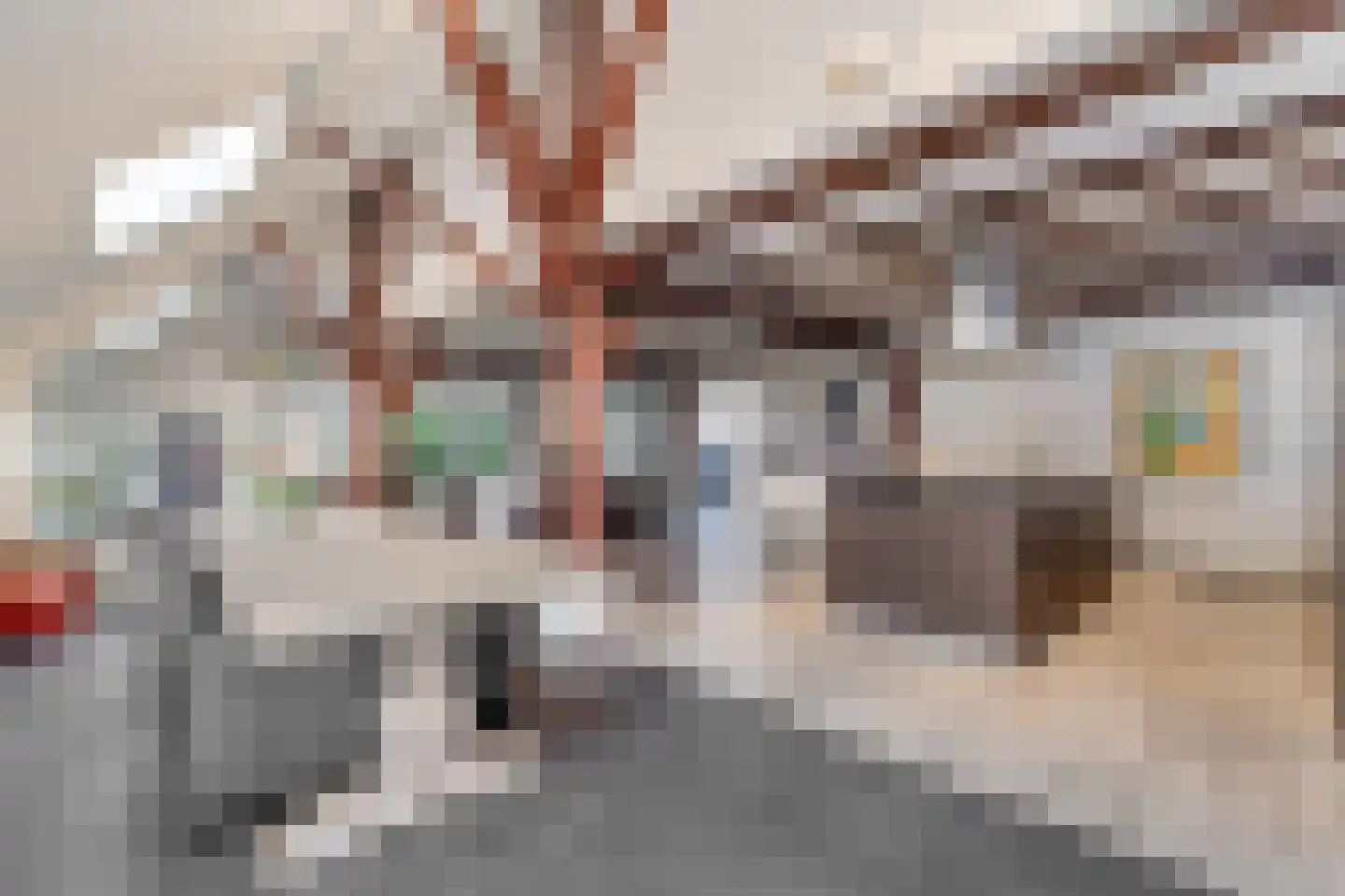 Schrapveen 14 Linde thumbnail 7