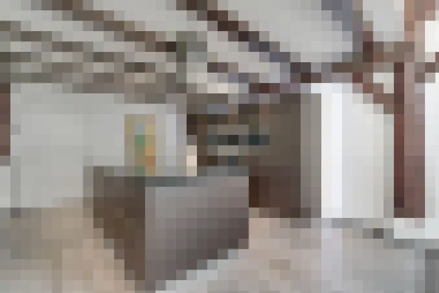 Schrapveen 14 Linde thumbnail 8