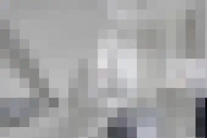 Schras 13 Ederveen thumbnail 23