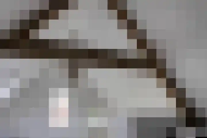 Schras 13 Ederveen thumbnail 31