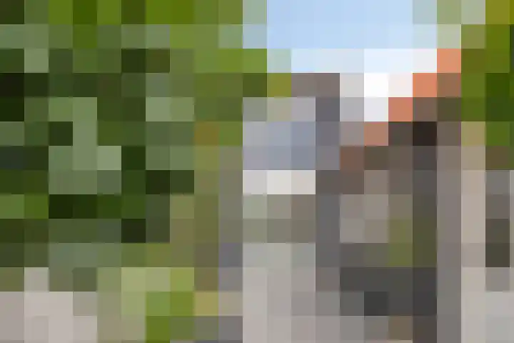 Schras 13 Ederveen thumbnail 34