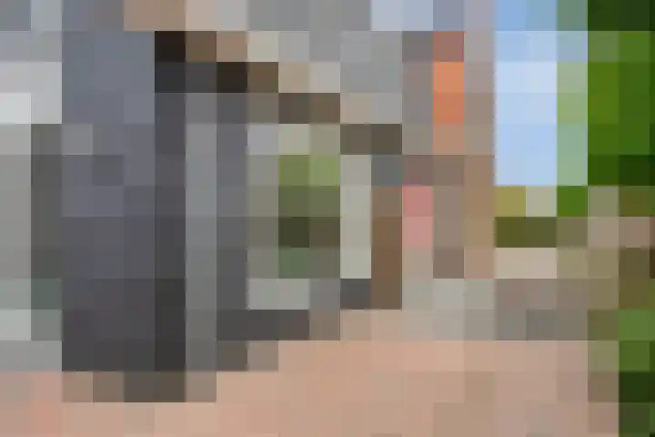 Schras 13 Ederveen thumbnail 37