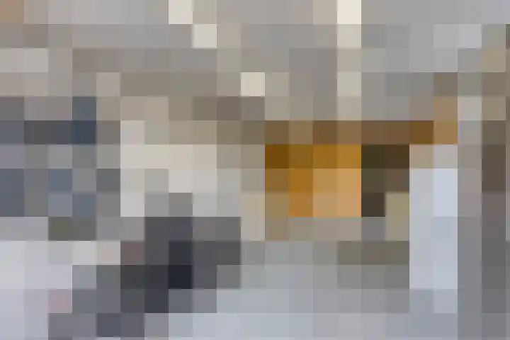 Schras 13 Ederveen thumbnail 38