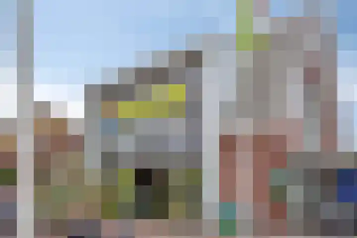 Schras 13 Ederveen thumbnail 41
