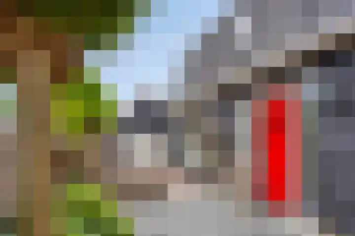 Schras 13 Ederveen thumbnail 7