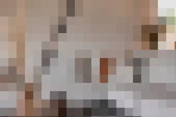 Schras 13 Ederveen thumbnail 9