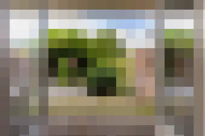 Schras 24 A Ederveen thumbnail 16