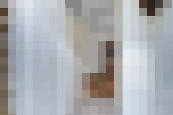 Schras 24 A Ederveen thumbnail 19