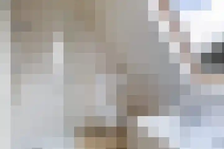 Schras 24 A Ederveen thumbnail 29