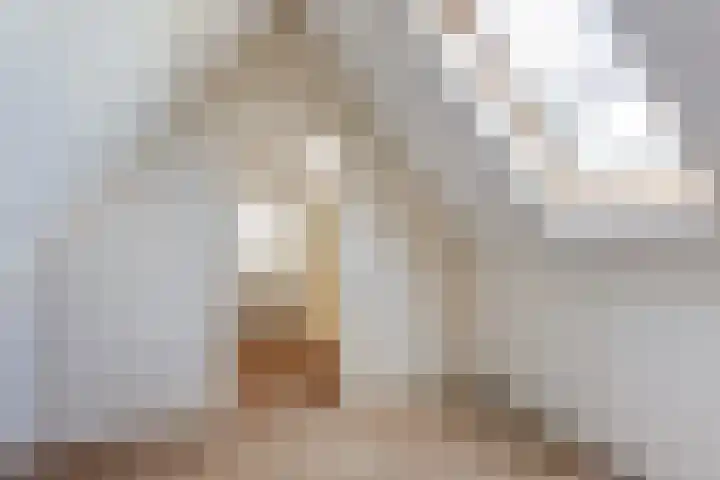 Schras 24 A Ederveen thumbnail 34