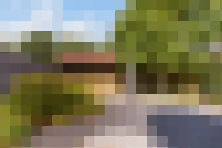 Schras 24 A Ederveen thumbnail 39
