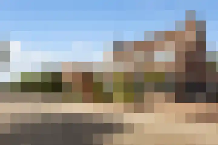 Schras 24 A Ederveen thumbnail 48