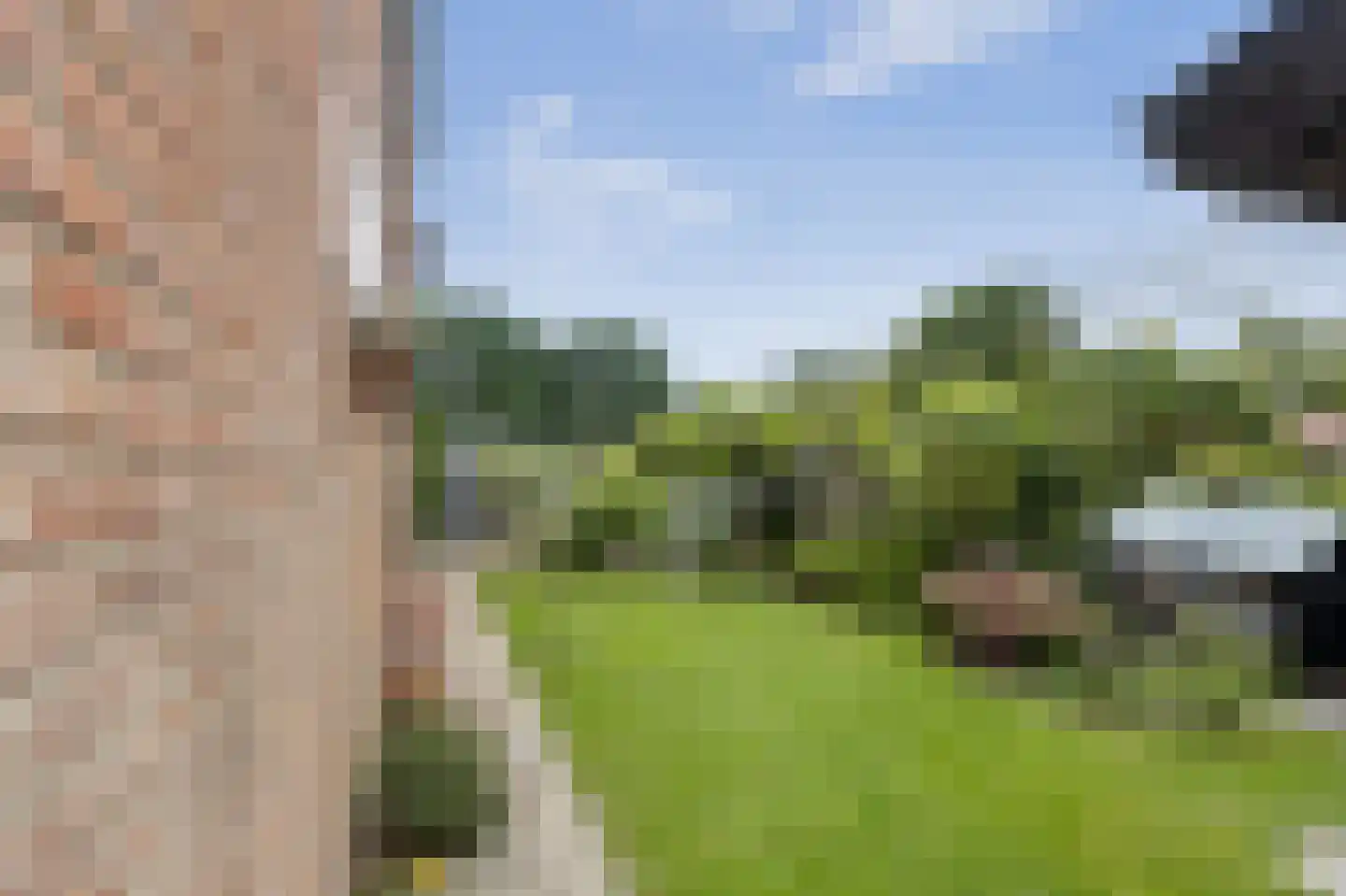 Schras 26 Ederveen thumbnail 29