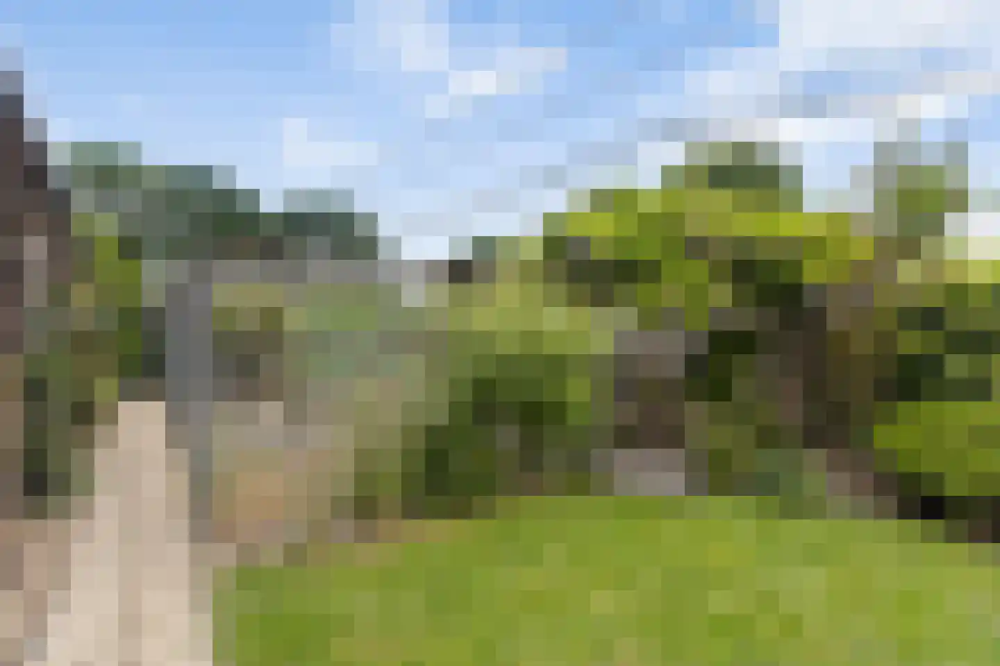Schras 26 Ederveen thumbnail 30