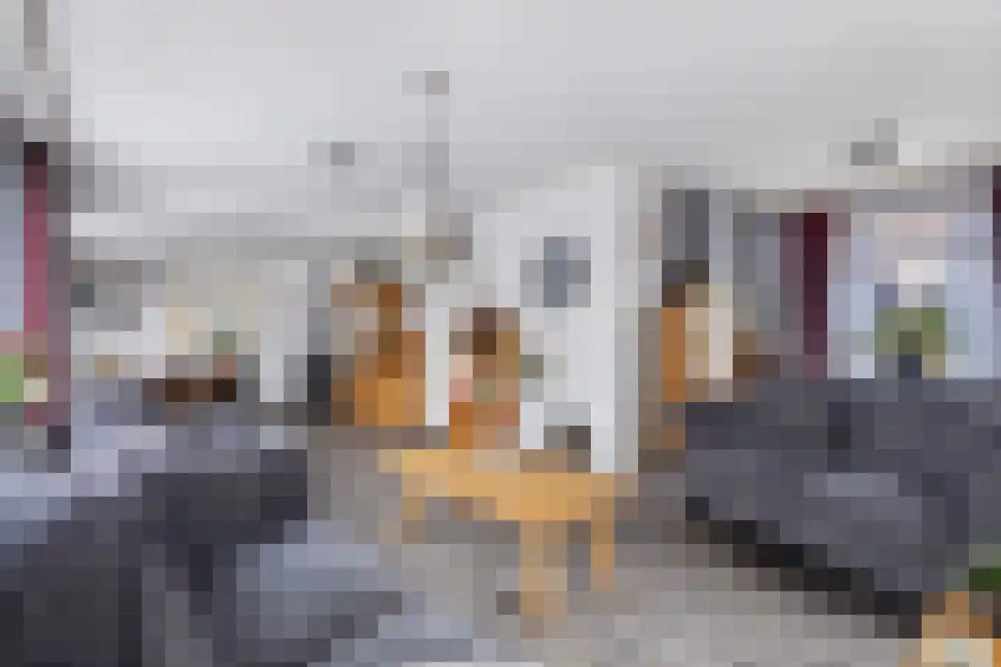 Schras 26 Ederveen thumbnail 4