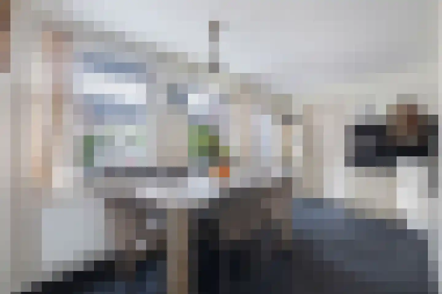Schras 26 Ederveen thumbnail 6