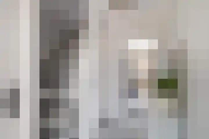 Schras 32 Ederveen thumbnail 16