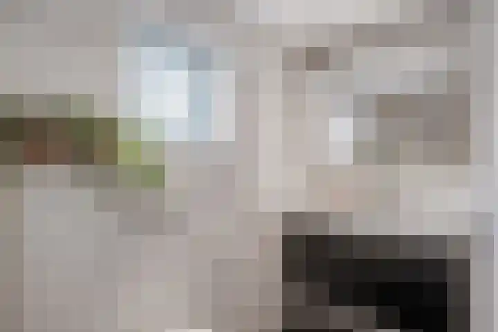 Schras 32 Ederveen thumbnail 24