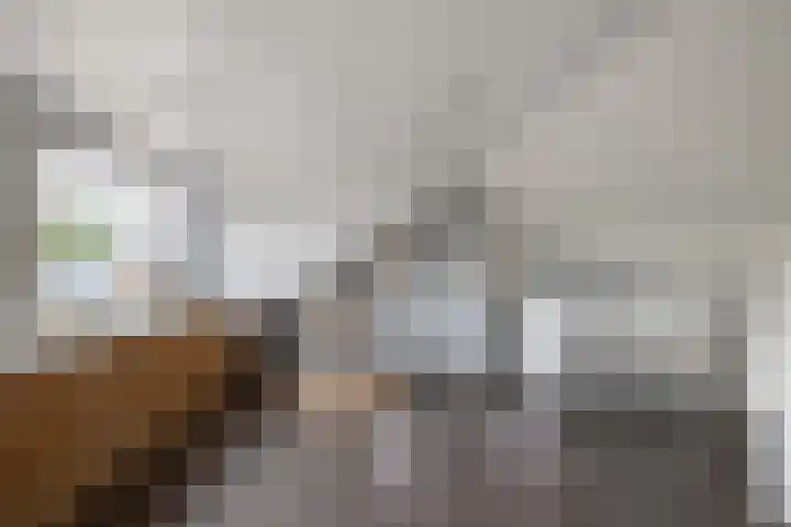 Schras 32 Ederveen thumbnail 26