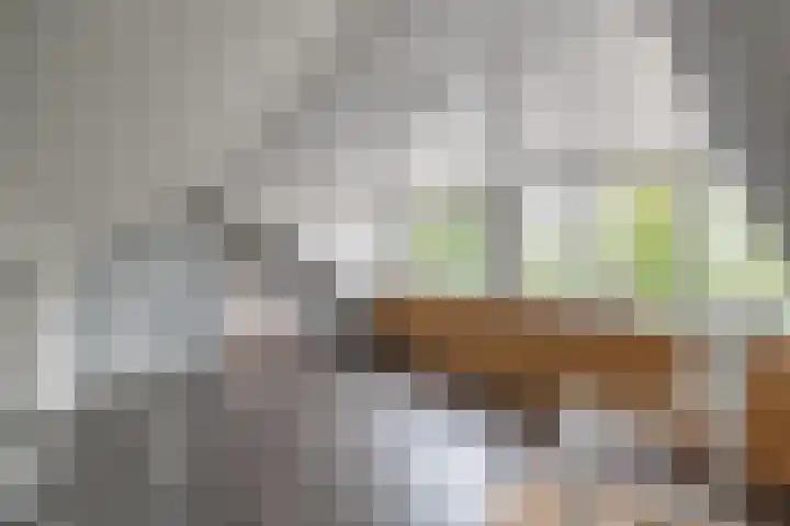 Schras 32 Ederveen thumbnail 27