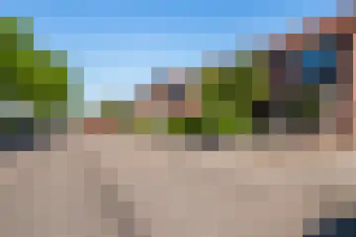 Schras 32 Ederveen thumbnail 34