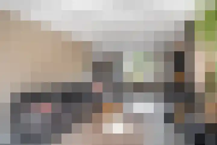 Schras 32 Ederveen thumbnail 6