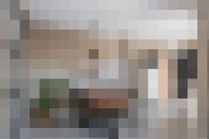 Schras 32 Ederveen thumbnail 8
