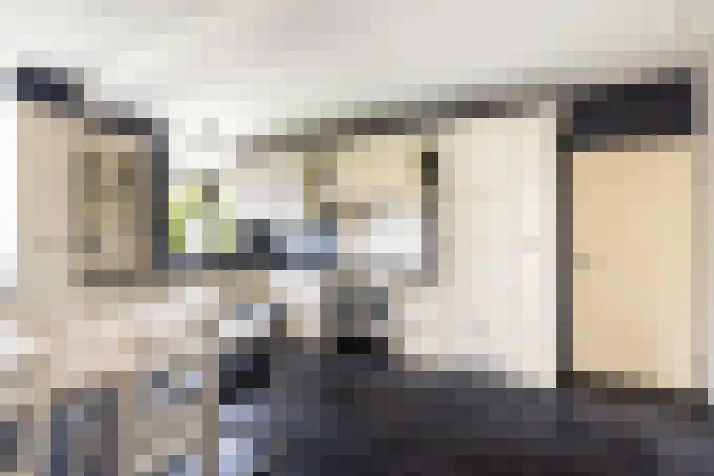 Schras 8 Ederveen thumbnail 10