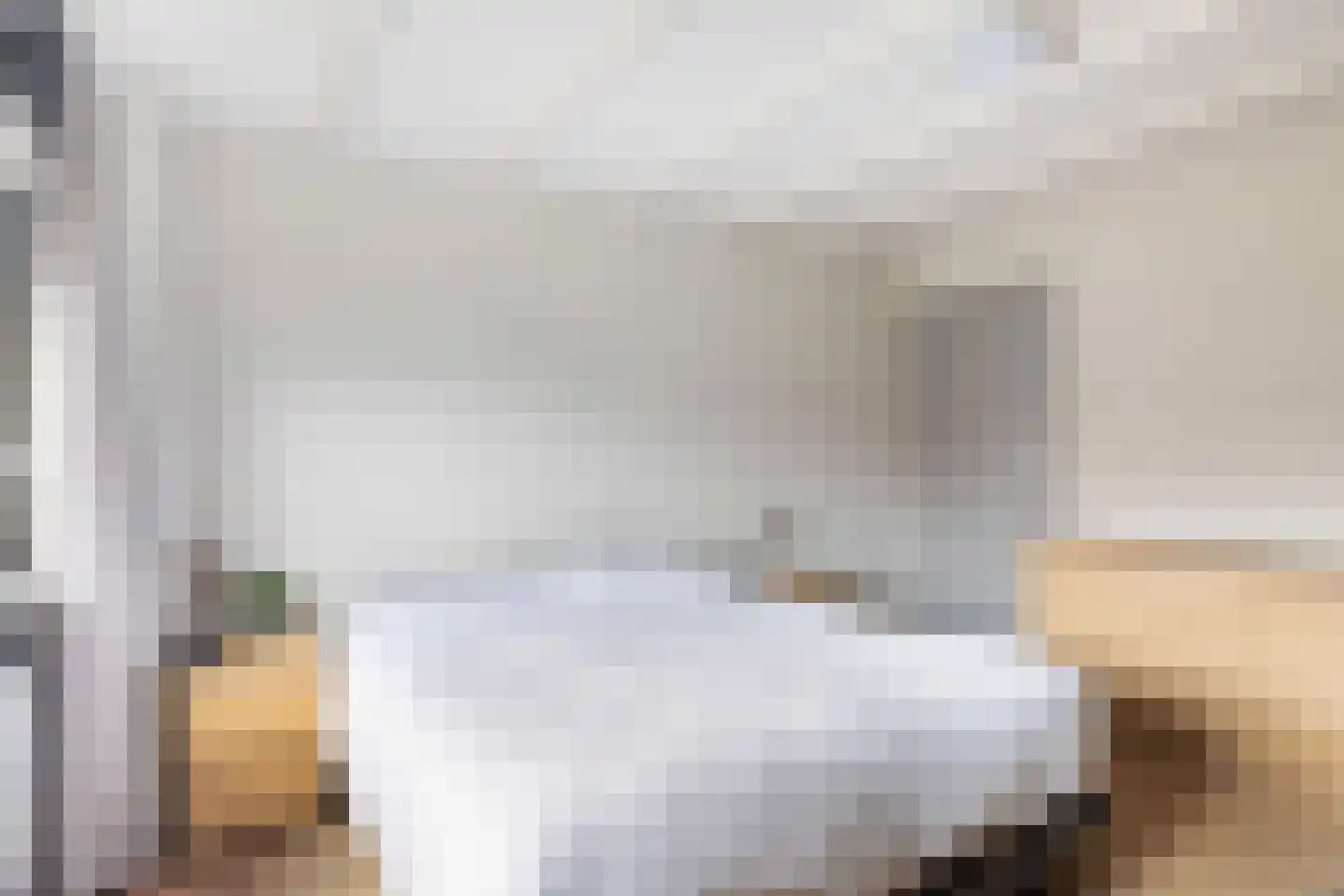Schras 8 Ederveen thumbnail 17