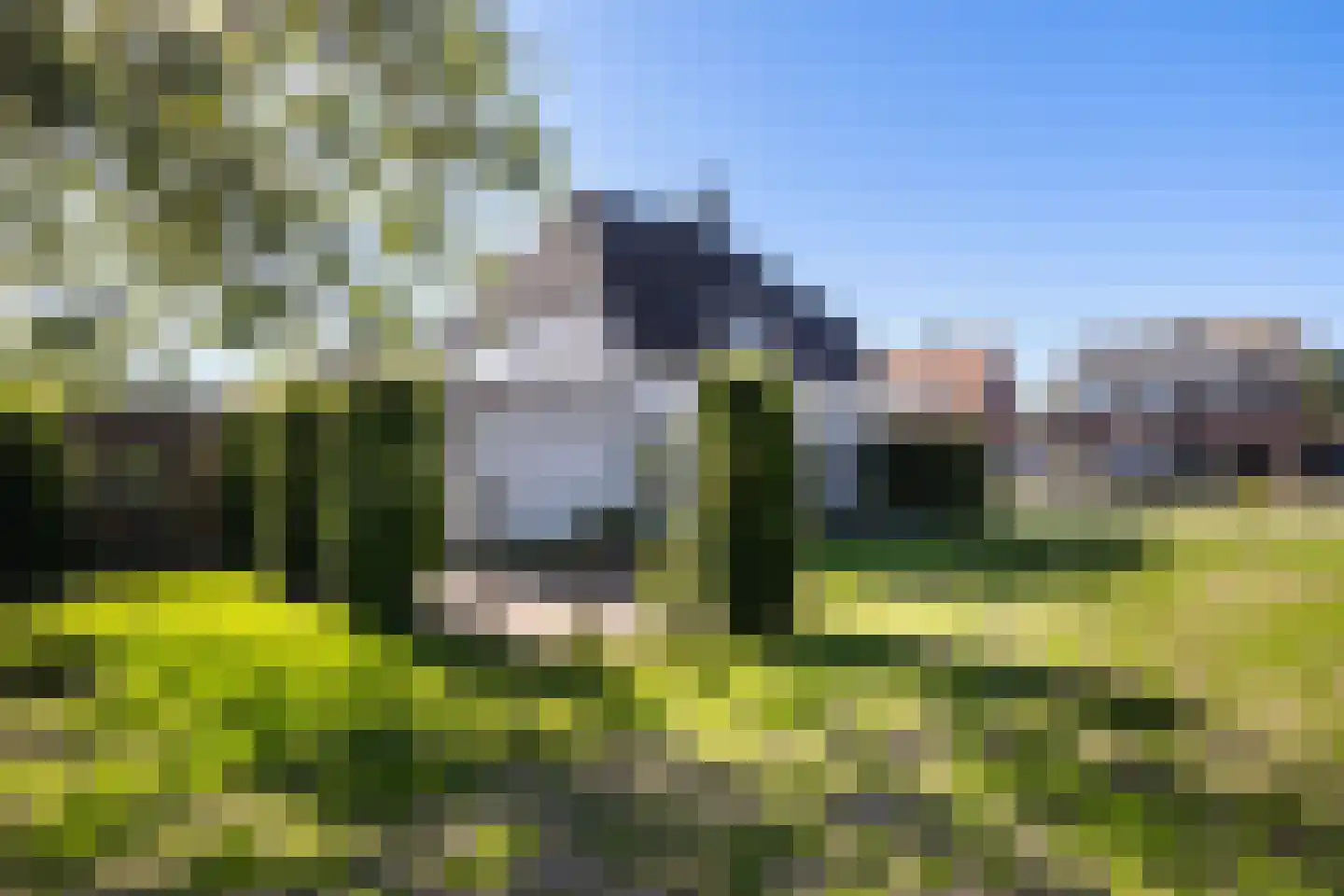 Schras 8 Ederveen thumbnail 29