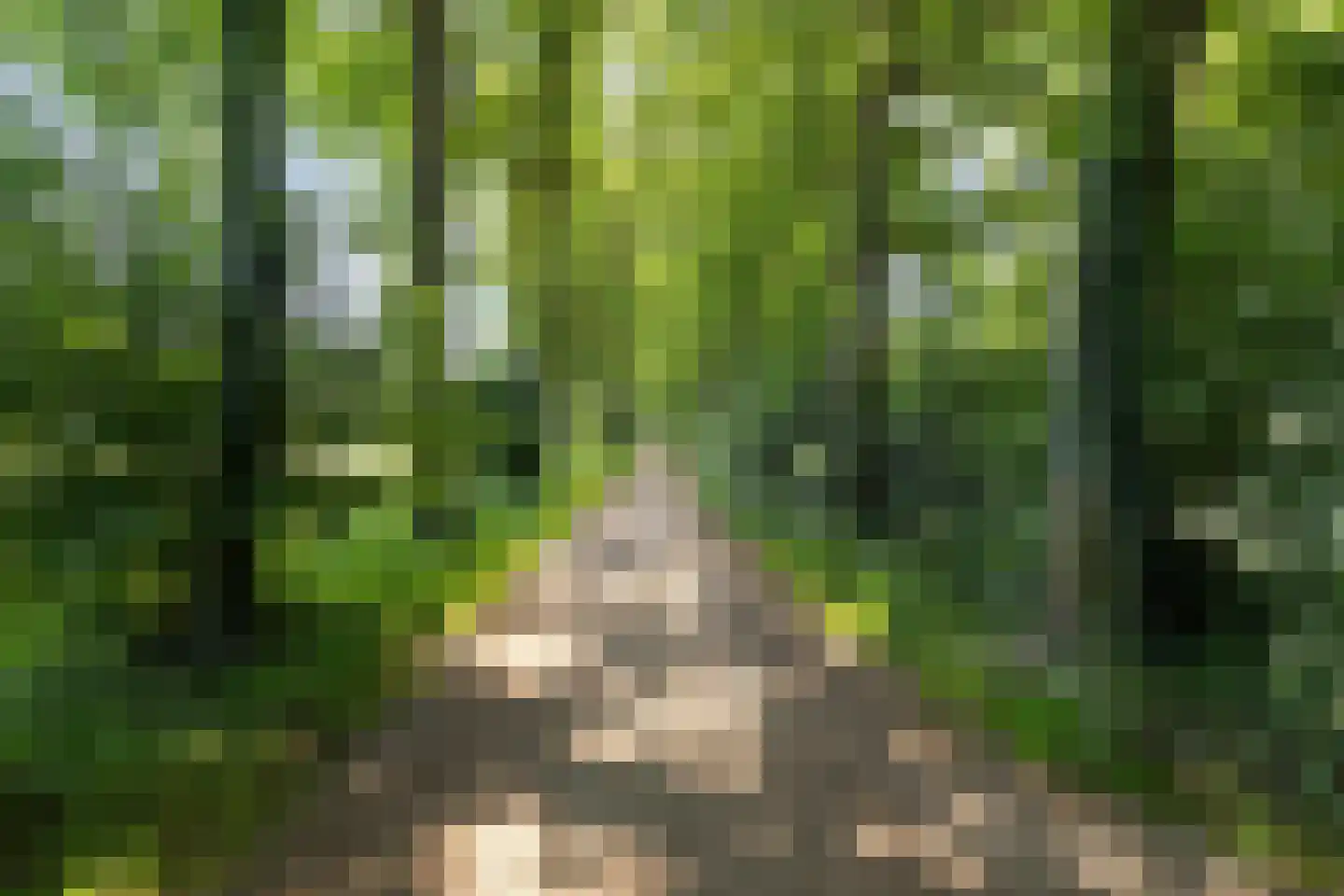 Schras 8 Ederveen thumbnail 37