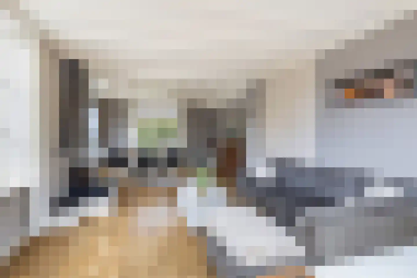 Schras 8 Ederveen thumbnail 5
