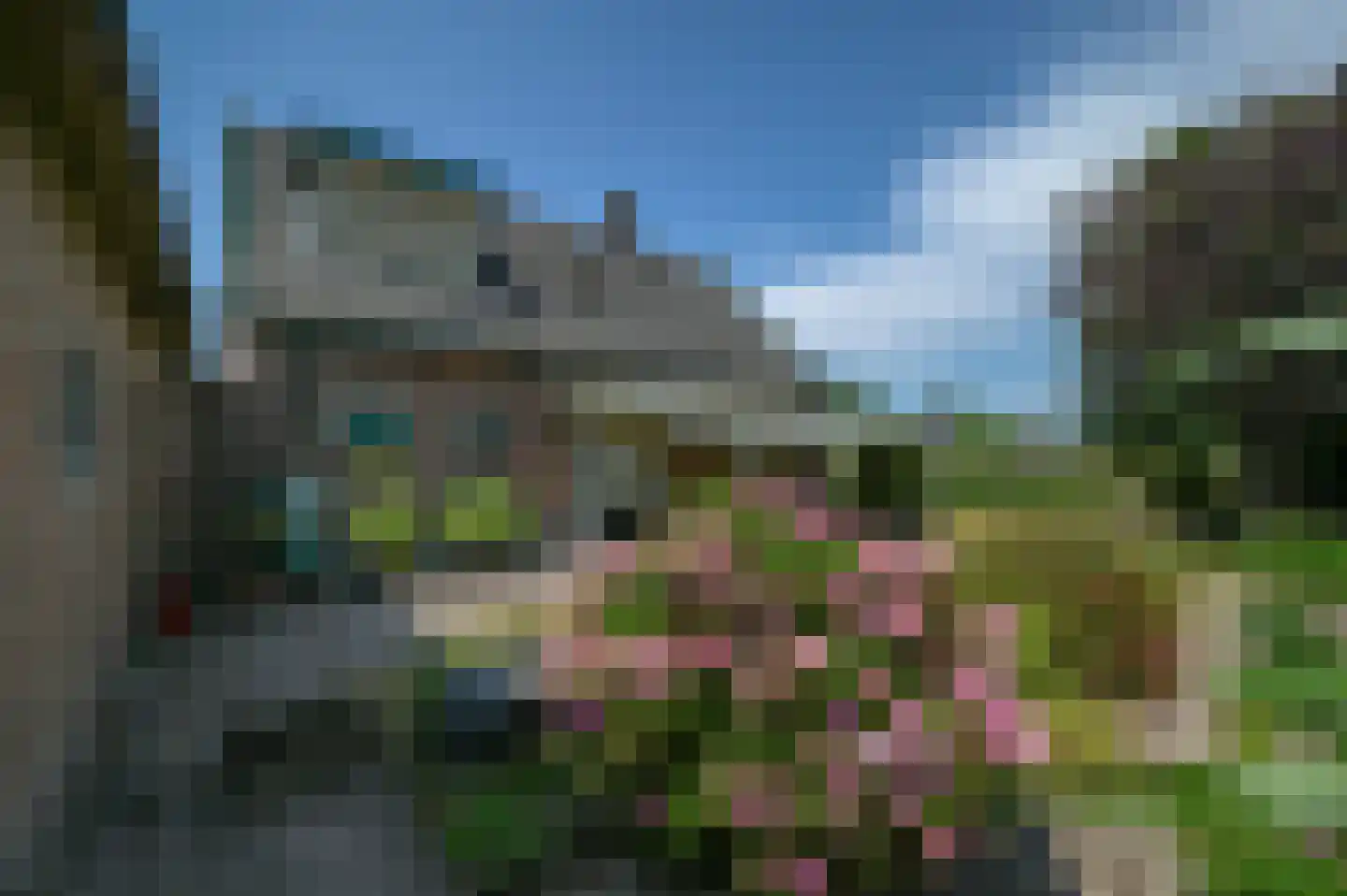 Schras 83 Ederveen thumbnail 13