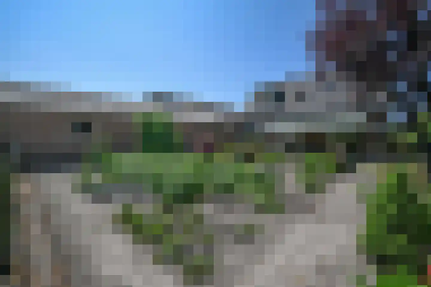 Schras 83 Ederveen thumbnail 15
