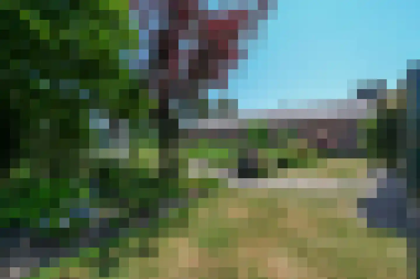 Schras 83 Ederveen thumbnail 16