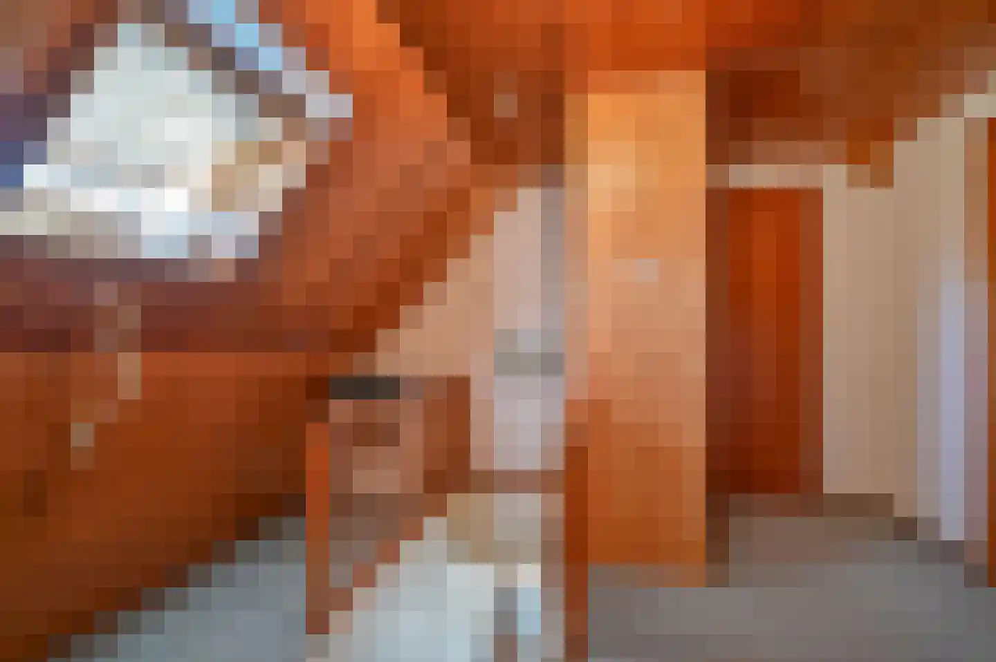 Schras 83 Ederveen thumbnail 31
