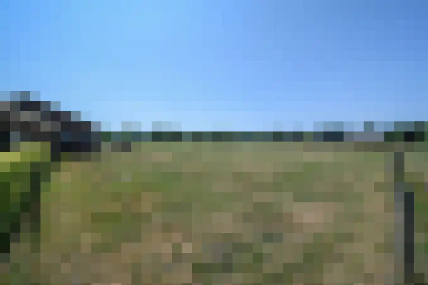 Schras 83 Ederveen thumbnail 8