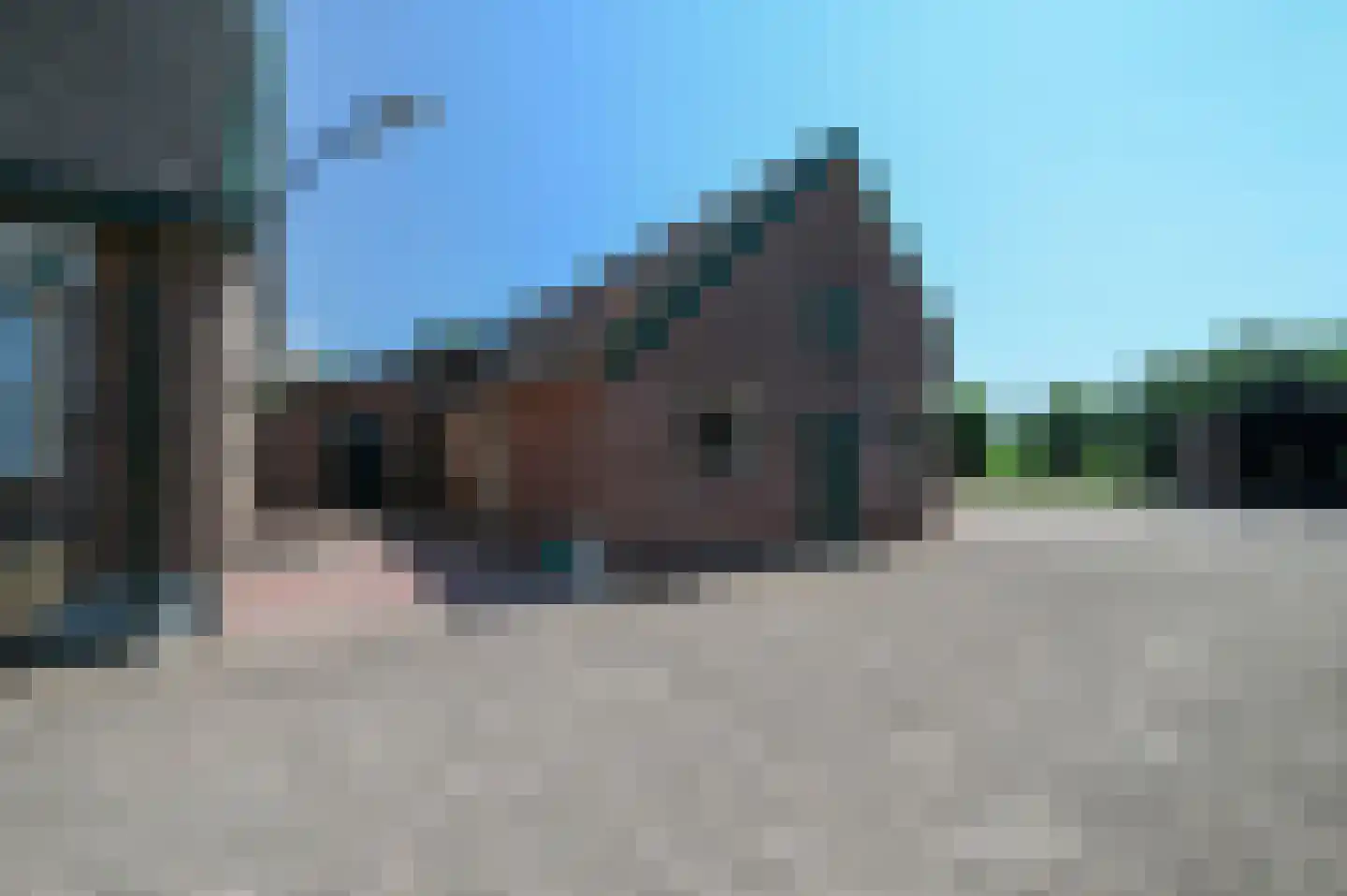 Schras 83 Ederveen thumbnail 9