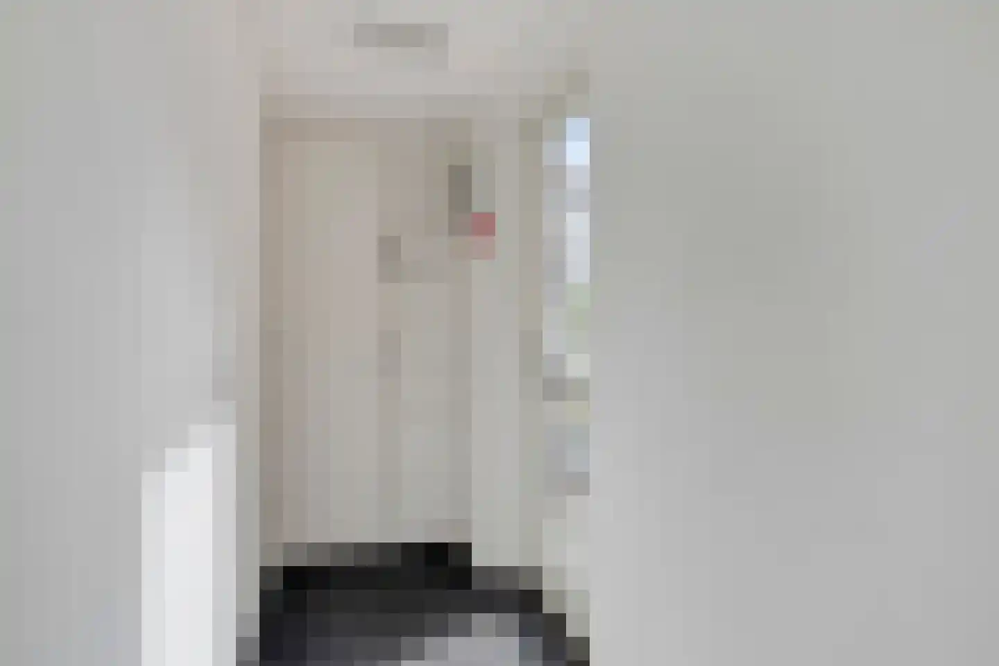 Schrassertstraat 1 2 Arnhem thumbnail 19