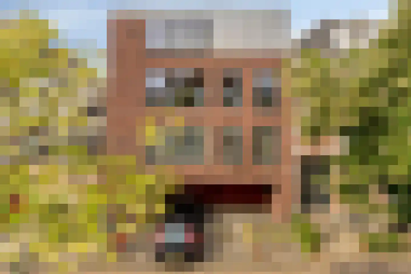 Schrassertstraat 1 2 Arnhem thumbnail 21