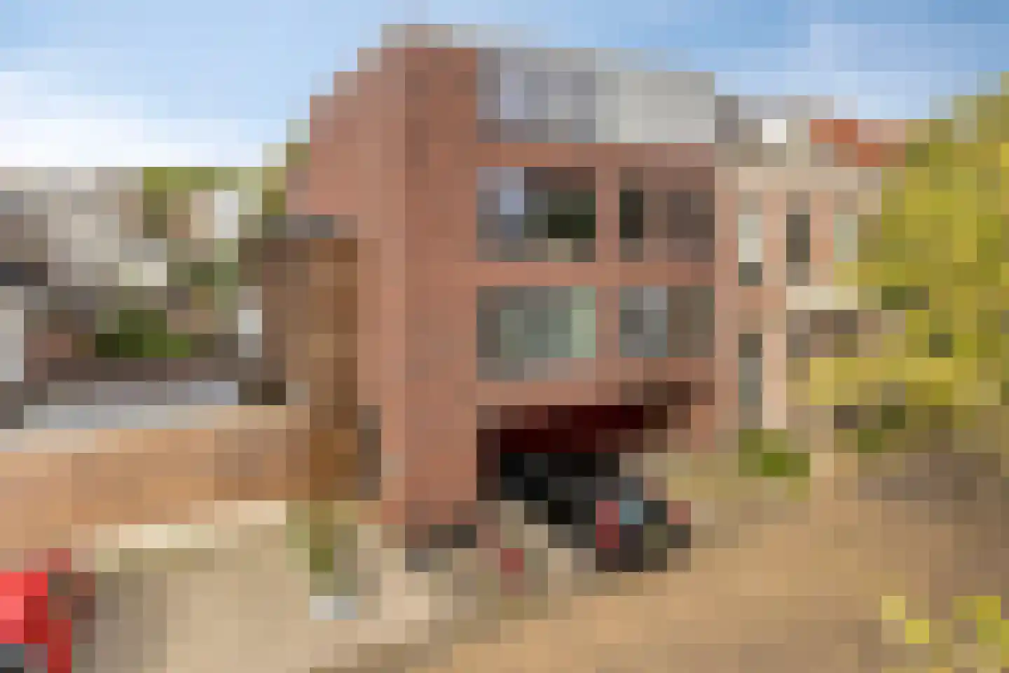 Schrassertstraat 1 2 Arnhem thumbnail 22