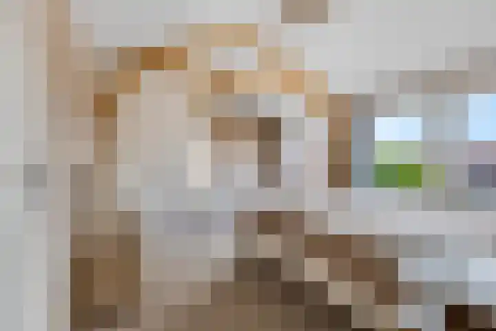 Schrassertstraat 21 Nijkerk thumbnail 22