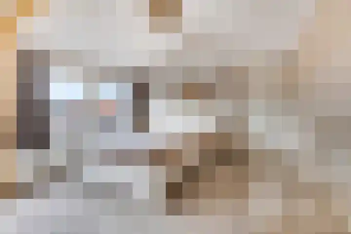 Schrassertstraat 21 Nijkerk thumbnail 23